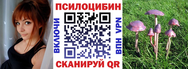 Псилоцибиновые грибы ЛСД Владикавказ