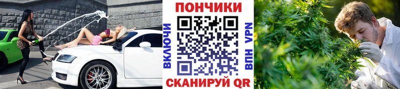 нарко площадка клад  Владикавказ  Марихуана OG Kush  kraken вход 